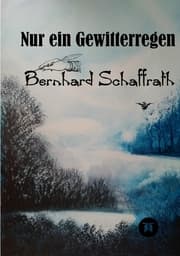 Cover von Nur ein Gewitterregen