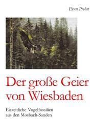 Cover von Der große Geier von Wiesbaden