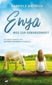 Cover von Enya - Weg zur Geborgenheit