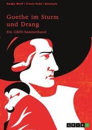 Cover von Goethe im Sturm und Drang. Motive und Sprache in Lyrik und Drama