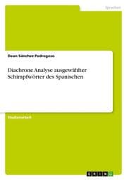 Cover von Diachrone Analyse ausgewählter Schimpfwörter des Spanischen