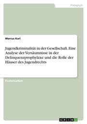 Cover von Jugendkriminalität in der Gesellschaft. Eine Analyse der Versäumnisse in der Delinquenzprophylaxe und die Rolle der Häuser des Jugendrechts