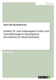 Cover von Endlich 18 - und wohnungslos? Selbst- und Fremdbild junger wohnungsloser Erwachsener in Niederösterreich
