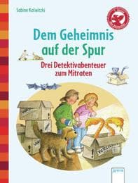 Cover von Dem Geheimnis auf der Spur