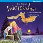 Cover von Eulenzauber (8). Ein neuer Freund für Goldwing
