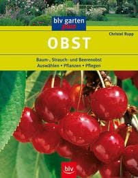 Cover von Obst