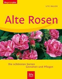 Cover von Alte Rosen