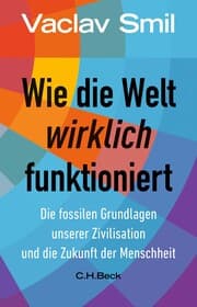 Cover von Wie die Welt wirklich funktioniert