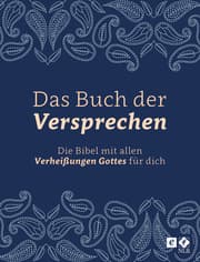 Cover von Das Buch der Versprechen