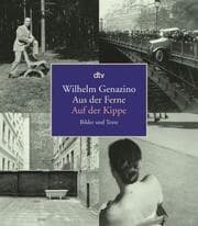Cover von Aus der Ferne, Auf der Kippe