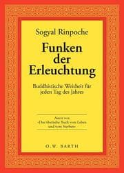 Cover von Funken der Erleuchtung