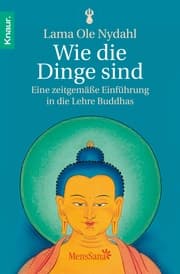 Cover von Wie die Dinge sind