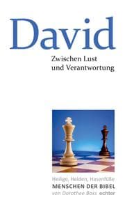 Cover von Zwischen Lust und Verantwortung: David