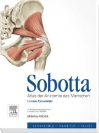 Cover von Untere Extremität