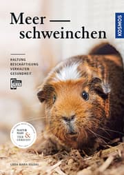 Cover von Meerschweinchen