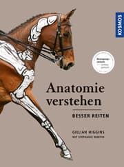 Cover von Anatomie verstehen - besser reiten
