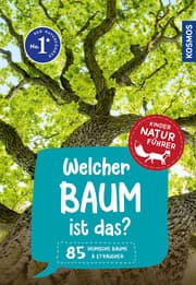 Cover von Welcher Baum ist das?
