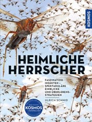 Cover von Insekten - Heimliche Herrscher