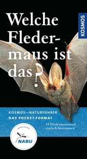 Cover von Welche Fledermaus ist das?