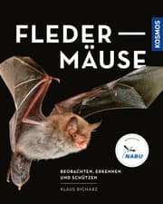 Cover von Fledermäuse