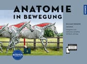 Cover von Anatomie in Bewegung