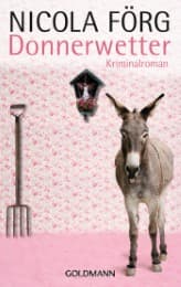 Cover von Donnerwetter