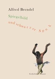 Cover von Spiegelbild und schwarzer Spuk