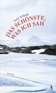 Cover von Das Schönste, was ich sah