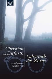 Cover von Labyrinth des Zorns
