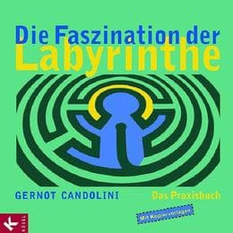 Cover von Die Faszination der Labyrinthe