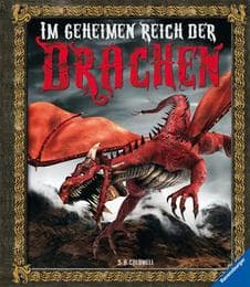 Cover von Im geheimen Reich der Drachen