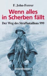 Cover von Wenn alles in Scherben fällt