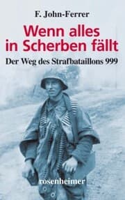 Cover von Wenn alles in Scherben fällt