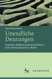 Cover von Unendliche Deutungen