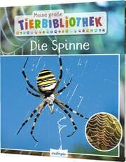 Cover von Die Spinne