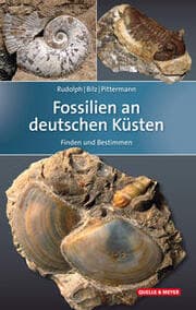 Cover von Fossilien an deutschen Küsten
