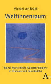 Cover von Weltinnenraum