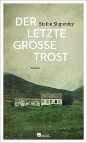 Cover von Der letzte große Trost