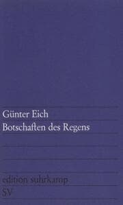 Cover von Botschaften des Regens