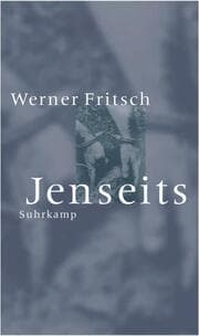 Cover von Jenseits