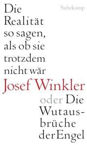Cover von Die Realität so sagen, als ob sie trotzdem nicht wär oder Die Wutausbrüche der Engel