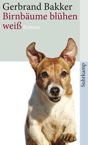 Cover von Birnbäume blühen weiß