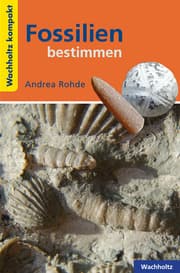 Cover von Fossilien bestimmen