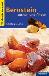 Cover von Bernstein suchen und finden