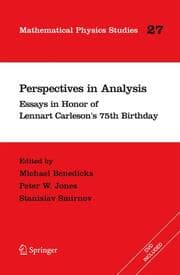 Cover von Perspectives in Analysis