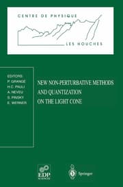 Cover von New Non-Perturbative Methods and Quantization on the Light Cone