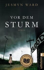 Cover von Vor dem Sturm