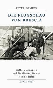 Cover von Die Flugschau von Brescia
