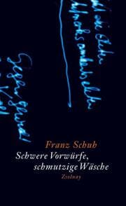 Cover von Schwere Vorwürfe, schmutzige Wäsche
