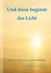 Cover von Und dann beginnt das Licht.